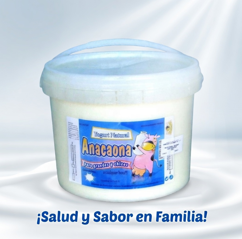 Yogurts Natural en Cubos de 4 Litros